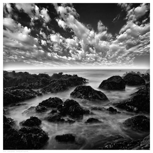 Ocean Seatide I by Anon Wall Art Décor 12 1/2 x 12 1/2 Art Print