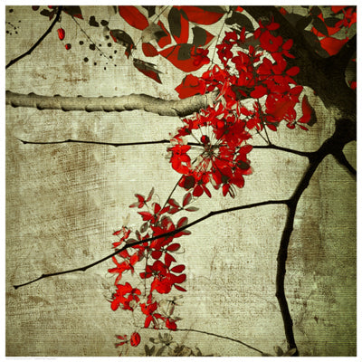 Framed Red Kerala Blossoms 16 1/2 x 16 1/2