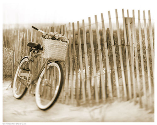 Framed Bike by Beach Fence 11 1/2 x 14 1/2