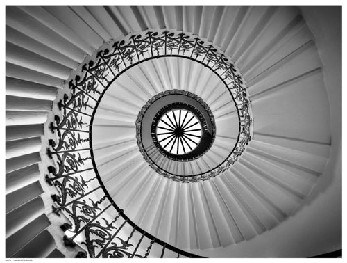 Tulip Staircase by Nick Jackson Wall Art Décor 12 ½ x 16 ½ Art Print