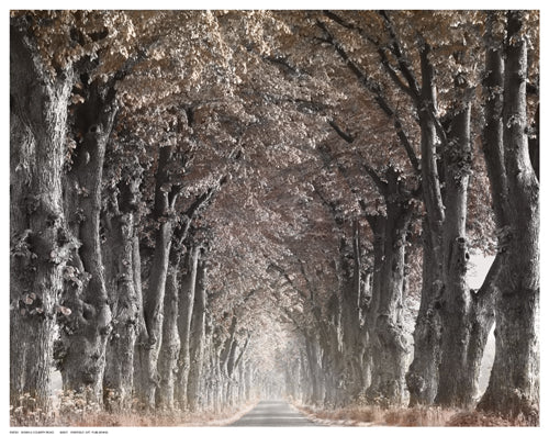 Down a Country Road by Keller Wall Art Décor 11 ½ x 14 ½ Art Print