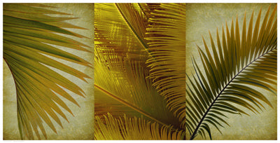 Framed Palm Trio II 12 1/2 x 24 1/2