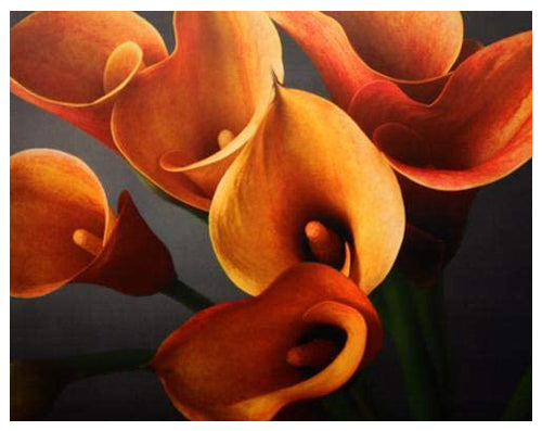 Framed Calla Lily Bouquet 11 ½ x 14 ½