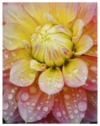 Framed Peaches & Dreams by Dennis Frates | 14 ½ x 11 ½