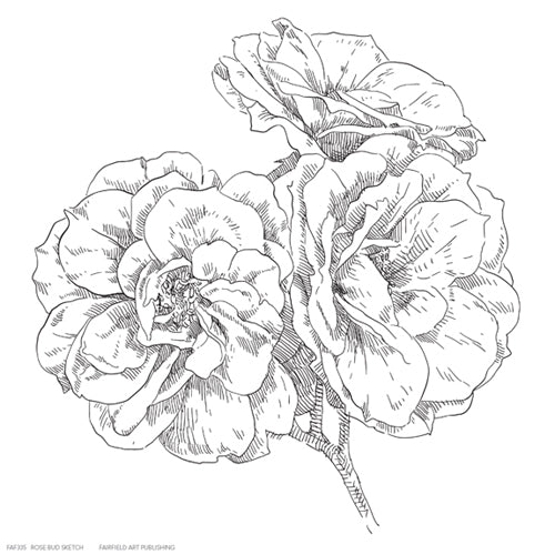 Framed Rose Bud Sketch 6 1/4 x 6 1/4
