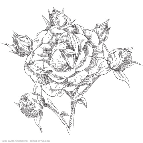 Framed Summer Flowers Sketch 6 1/4 x 6 1/4
