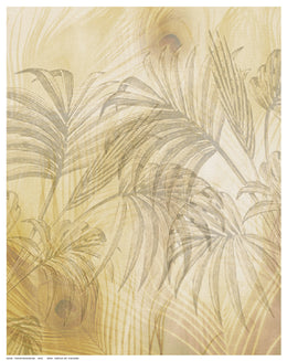 Feather Background by Anon Wall Art Décor 14 ½ x 11 ½ Art Print