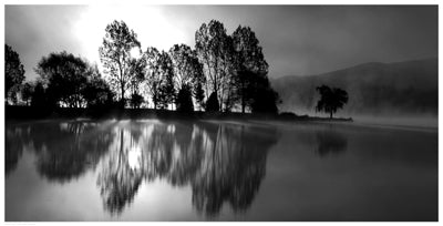 Dawn by Anon Wall Art Décor 12 1/2 x 24 1/2 Art Print