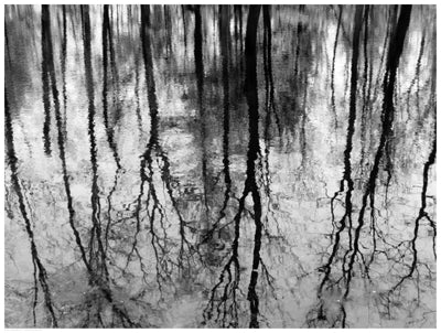 Framed Reflected Pool 18 1/2 x 24 1/2