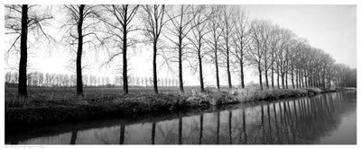 Trees Along the Canal by Anon Wall Art Décor 8 x 20 Art Print