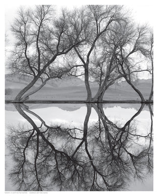 Clarity in the Waters by Anon Wall Art Décor 10 1/2 x 8 1/2 Art Print