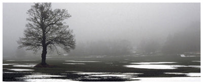 Framed Awaiting Spring 8 1/2 x 20 1/2
