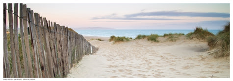 Framed Sand Fence, Early Morning 7 x 19