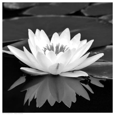 Framed Crystal Reflection II 12 1/2 x 12 1/2