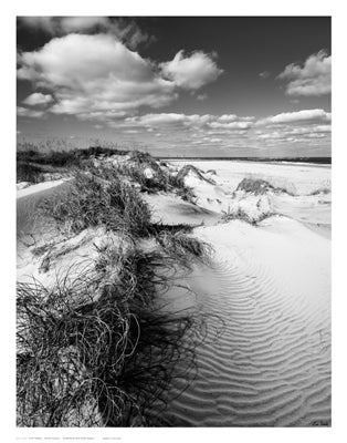 Dune Swale by Eve Turek Wall Art Décor 14 x 11 Art Print