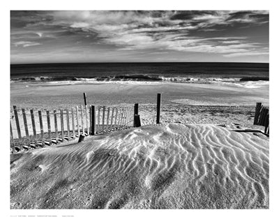 Pathway by Eve Turek Wall Art Décor 11 x 14 Art Print