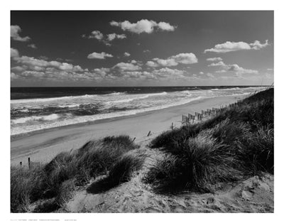 Long View by Eve Turek Wall Art Décor 11 x 14 Art Print