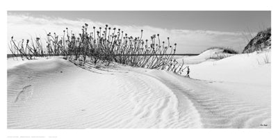 Serebe Shorline by Eve Turek Wall Art Décor 10 x 20 Art Print