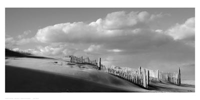 Sand Fences by Eve Turek Wall Art Décor 10 x 20 Art Print