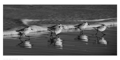 Five Friends by Eve Turek Wall Art Décor 10 x 20 Art Print