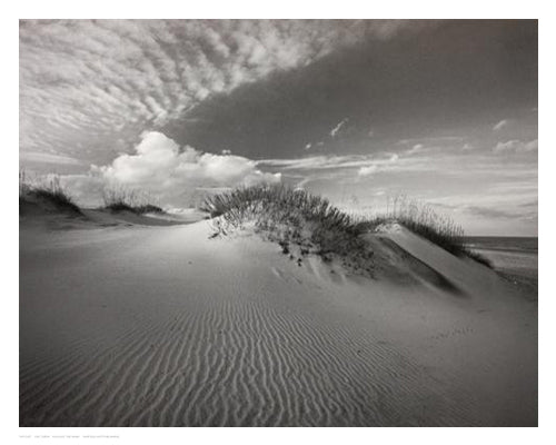 Ripple Effect by Eve Turek Wall Art Décor 11 x 14 Art Print