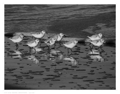 Family Reunion by Eve Turek Wall Art Décor 11 x 14 Art Print