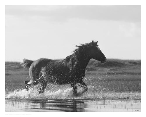 Framed Run Like the Wind by Eve Turek | 11 1/2 x 14 1/2