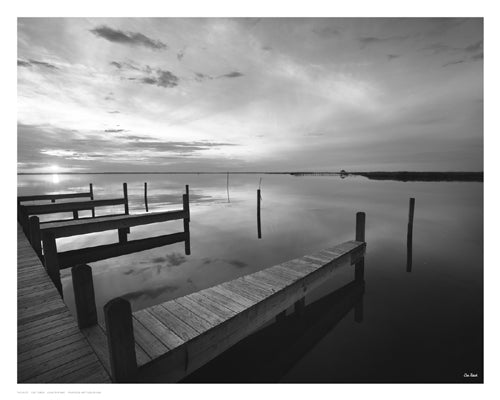 Lead the Way by Eve Turek Wall Art Décor 11 1/2 x 14 1/2 inch Art Print