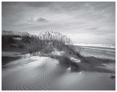 Sand Dunes by Anon Wall Art Décor 14 1/2 x 18 1/2 Art Print