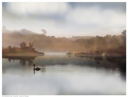 Framed Morning on the River by Sylvana Rega | 12 ½ x 16 ½