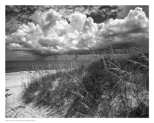 Framed Another Glorious Day by Eve Turek | 11 1/2 x 14 1/2