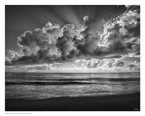 Framed Majestic Morning by Eve Turek | 11 1/2 x 14 1/2