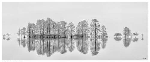 Framed Meditation in the Mist by Eve Turek | 8 ½ x 20 ½