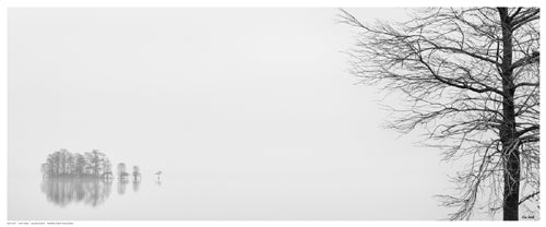 Framed Vision Quest by Eve Turek | 8 ½ x 20 ½