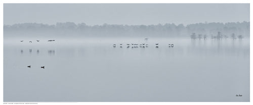 Framed Winter on the Lake by Eve Turek | 8 ½ x 20 ½