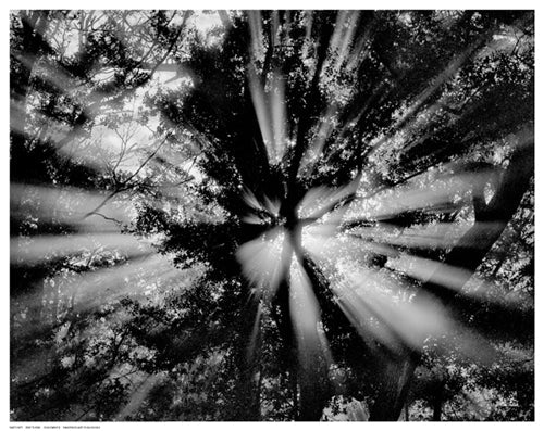 Framed Sun Dance by Eve Turek | 11 ½ x 14 ½