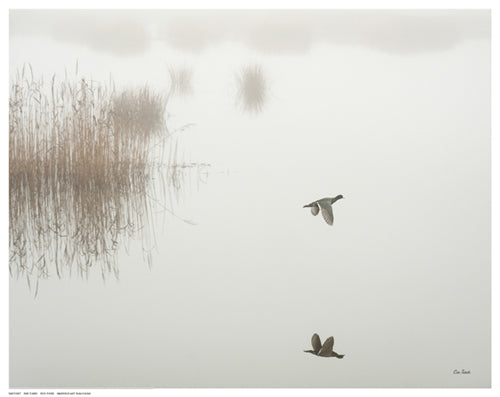 Framed Fog Flyer by Eve Turek | 11 ½ x 14 ½