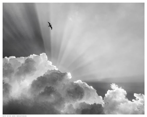 Framed Heavenly by Eve Turek | 11 ½ x 14 ½