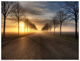 Vanishing Road by Anon Wall Art Décor 12 ½ x 16 ½ Art Print