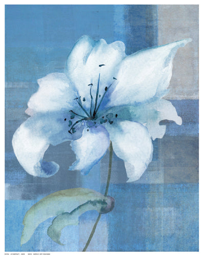 Lily Abstract by Anon Wall Art Décor 14 ½ x 11 ½ Art Print