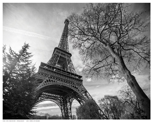 Framed Eiffel Tower with Tree by Stéphane Graciet | 11 ½ x 14 ½