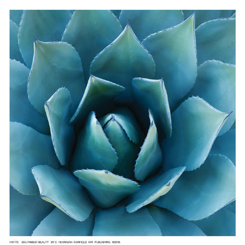 Framed Southwest Beauty by C. Hennigan | 6 ½ x 6 ½