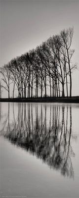 Reflections by Anon Wall Art Décor 20 1/2 x 8 1/2 Art Print