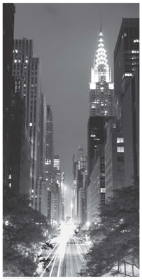 Looking Across 42nd Street by Anon Wall Art Décor 24 1/2 x 12 1/2 Art Print