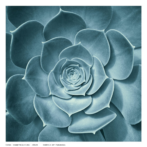 Framed Symmetrical Flora by Spiler | 6 ½ x 6 ½