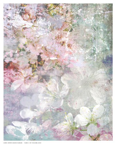 Framed Cherry Flowers by Hoskari | 10 ½ x 8 ½