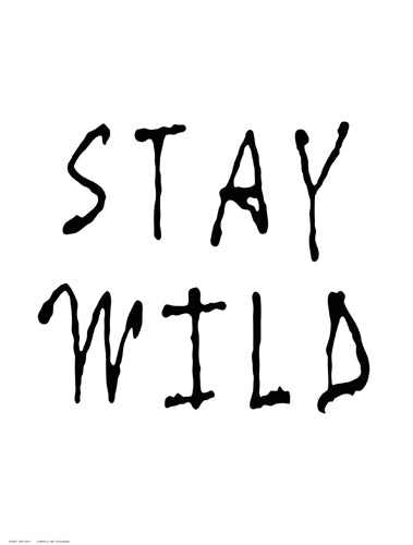 Stay Wild by Anon Wall Art Décor 16 ½ x 12 ½ Art Print