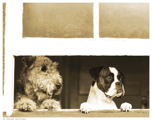 Waiting for Godot by Anon Wall Art Décor 11 ½ x 14 ½ Art Print