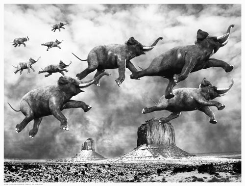 Framed The Flying Elephants 12 ½ x 16 ½