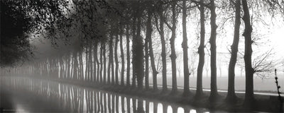 Tree Lined Canal by Anon Wall Art Décor 8 x 20 Art Print